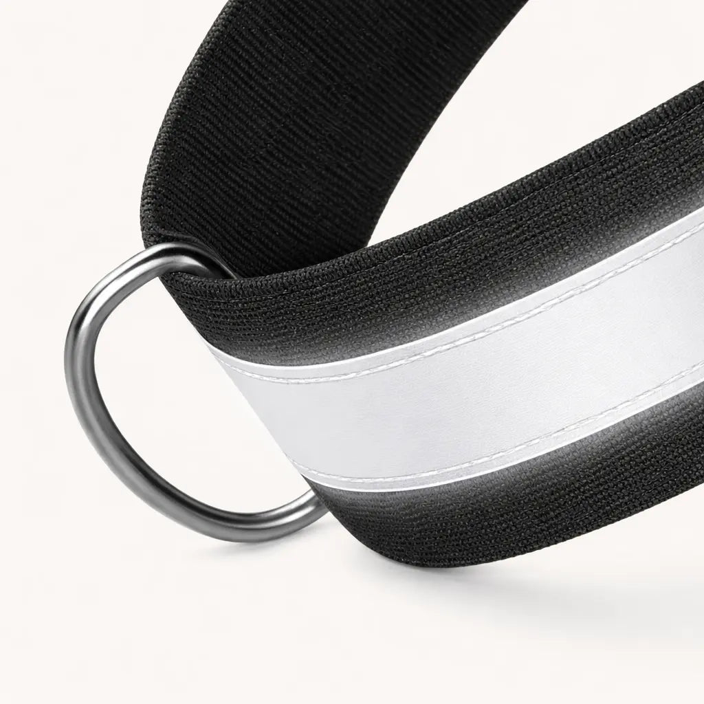 Accesorio de anilla en D frontal