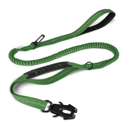 Bungee Leash