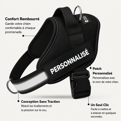 Harnais Pour Chien Personnalisé