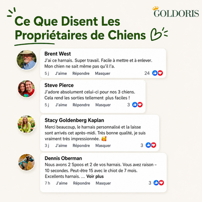 Harnais Pour Chien Personnalisé