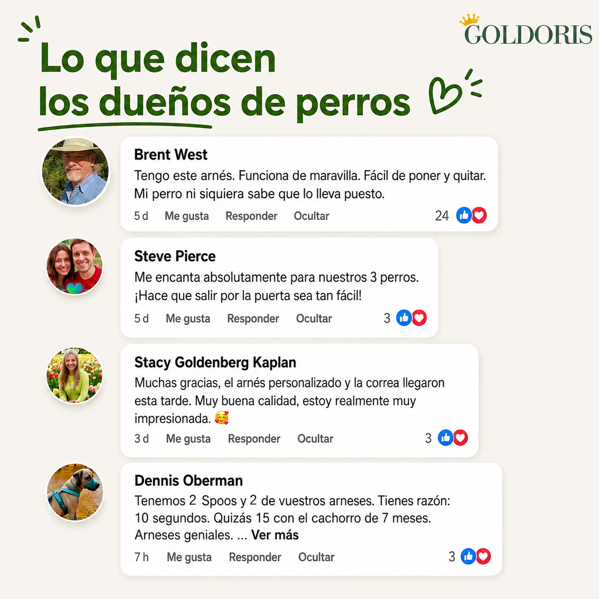 Arnés Para Perro Personalizado