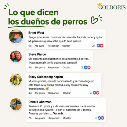 Arnés Para Perro Personalizado