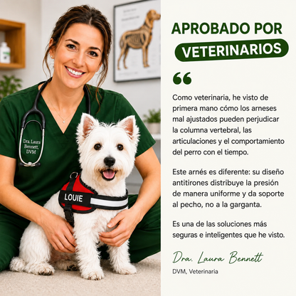 Arnés Para Perro Personalizado