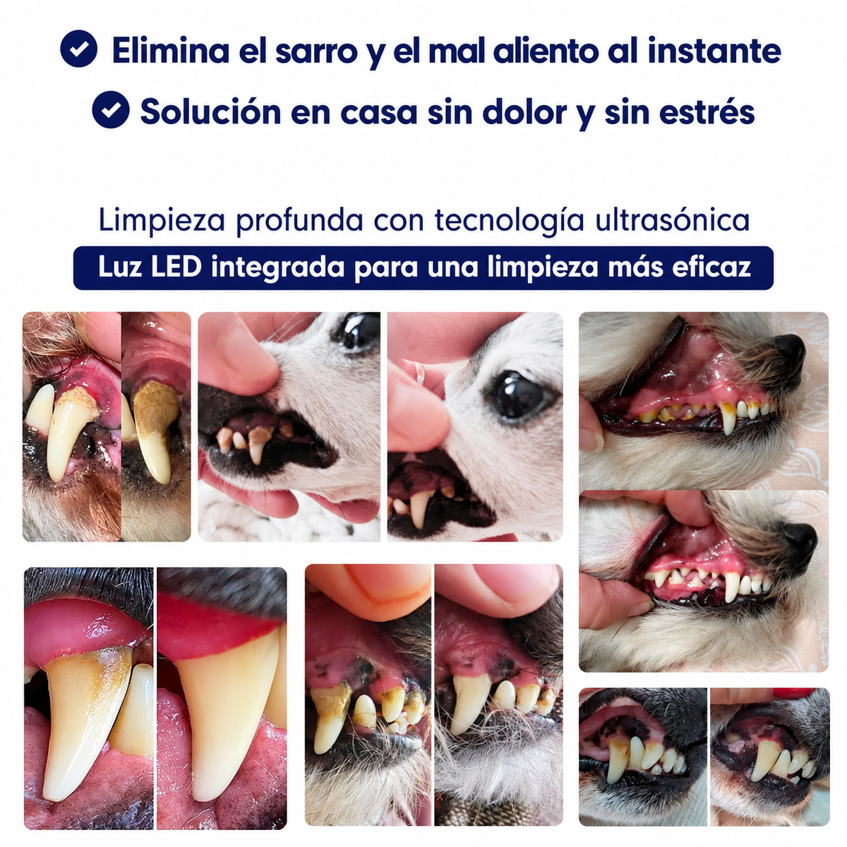 Kit Goldoris - Eliminador Ultrasónico Silencioso De Placa Y Sarro Para Perros