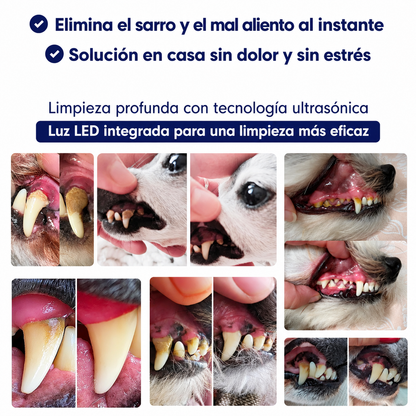 Kit Goldoris - Eliminador Ultrasónico Silencioso De Placa Y Sarro Para Perros