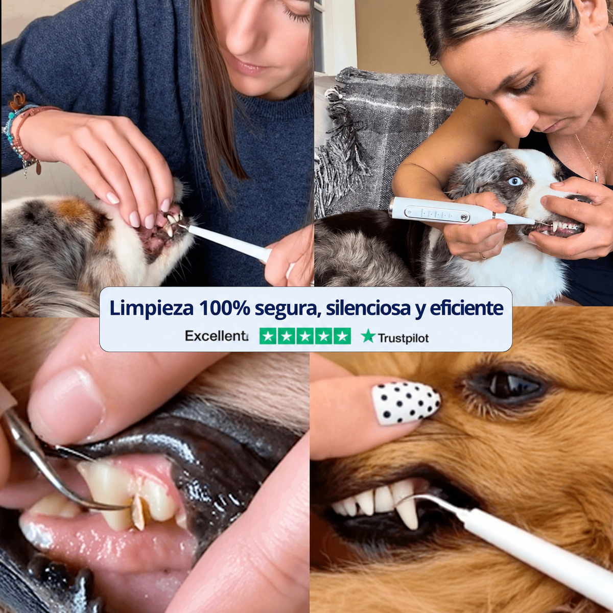 Kit Goldoris - Eliminador Ultrasónico Silencioso De Placa Y Sarro Para Perros