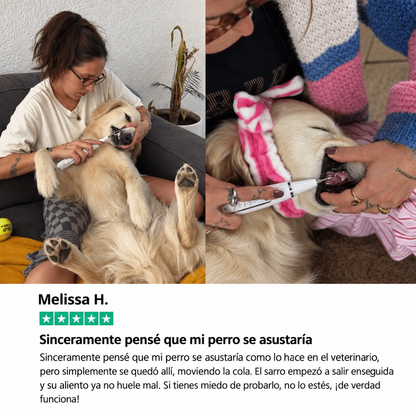 Kit Goldoris - Eliminador Ultrasónico Silencioso De Placa Y Sarro Para Perros
