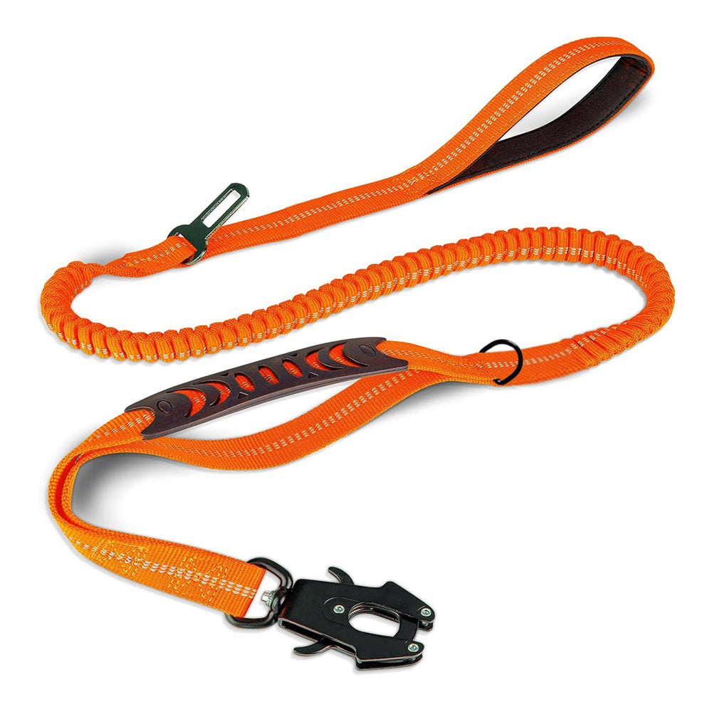 Bungee Leash