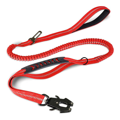 Bungee Leash