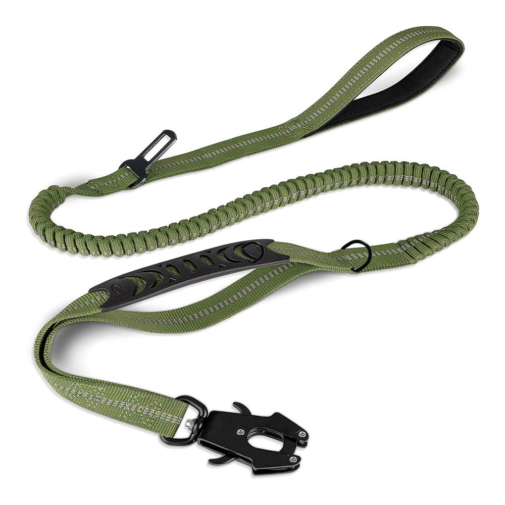 Bungee Leash