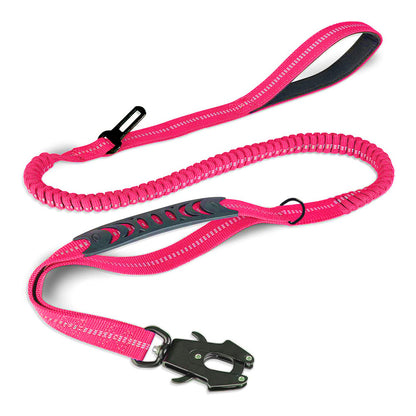 Bungee Leash