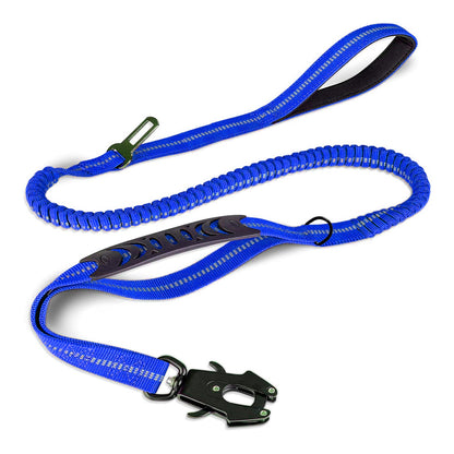 Bungee Leash