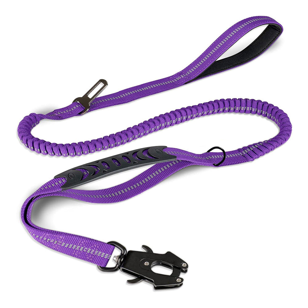 Bungee Leash