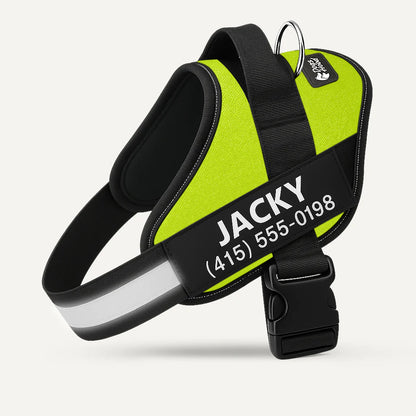 Personalized Dog Harness