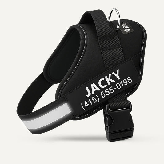 Arnés Para Perro Personalizado