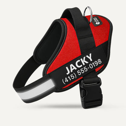 Personalized Dog Harness